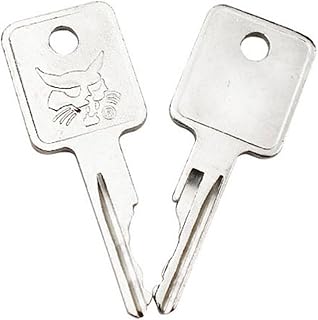DCYQAIN 2 x Keys for Bobcat Compatible with E10 E17 E20 D250 CASE Skid STEERY 750 753 763 Digger Key