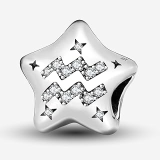 1 Sterling Silver Star Twelve Constellation Pendant Beads for DIY Jewelry Matching Daily Decoration for Women