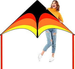 Large Single Line Beach Kite for Adults,Easy to Fly Kites for Kids Age 4-12 | Beginner Delta Nylon Kite, Each Comes with 300Ft String Handle, Seaside Vacation Use