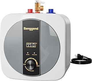 Ganggend Electric Mini-Tank Water Heater - 2.5 Gallon, 1500W, 110V Under Sink Instant Hot Water Heater with Digital Display, Pressure Release Valve & 1/2" NPT Fittings, Wall or Floor Mounted