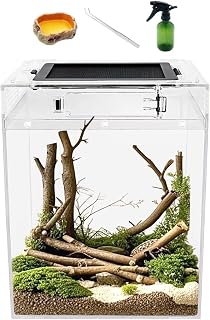 Reptileg Growth ReptileTerrarium, 8 x 8 x 11 inch Reptile Tank with Top Sliding Door Screen Ventilation for Snake, Frog,Insect,Tarantula,Hermit Crab,Jumping Spider,Iguana