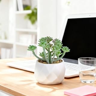 Artificial Succulent Plants Diamond Shaped Pot Fake Succulents Home Office Decor Realistic Succulents (Green)