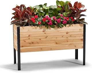 EARTH ELEVATED 100% Canadian Cedar Wood High Floor Garden Bed Gardening Planter for Indoor Outdoor Patio, Balcony, Deck, Herbs, Flowers, Vegetables 18" x 48" x 30"