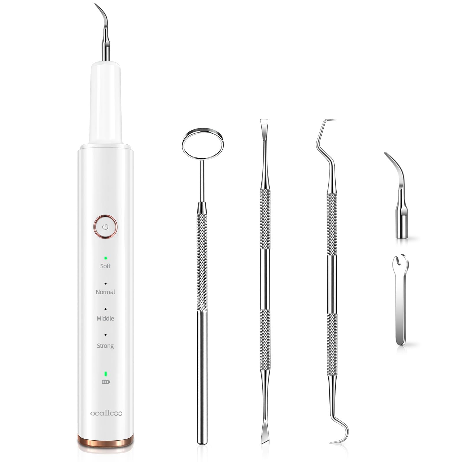 Plaque Remover for Teeth, Electric Tartar Remover for Teeth with LED Light,4 Mod