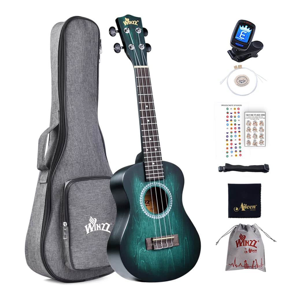 Winzz Ukulele Concert 23 Inches Blue-green, Ukulele Beginner Kit for Adults and 
