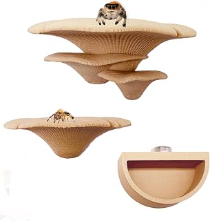 2 Pack Jumping Spider Accessories Mushroom Ledges & 1 Pack Water Bowl with Magnets for Spoods Jumping Spiders Magnetic Ledge Ladder Pet Spider Accessories (Not Included The Terrarium) (Beige)