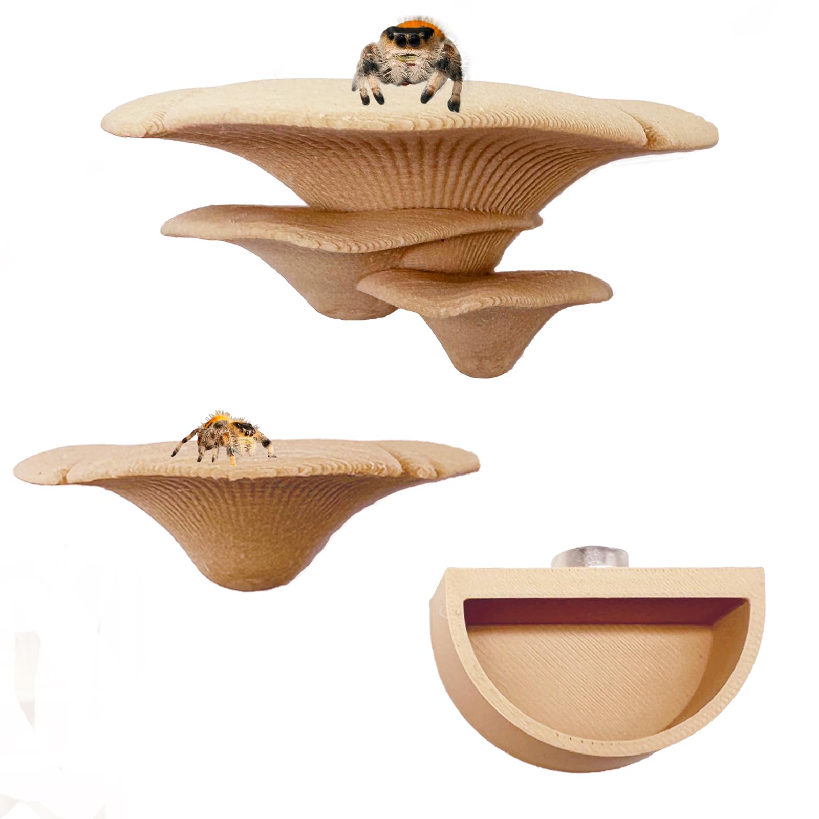 2 Pack Jumping Spider Accessories Mushroom Ledges & 1 Pack Water Bowl with Magne