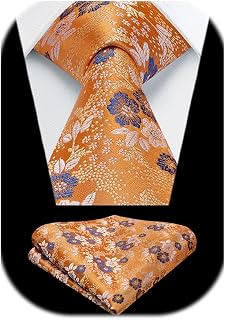 HISDERN Men's Ties Solid Colour Elegant Business Tie Wedding and Handkerchief Set Ties Classic Plaid Party