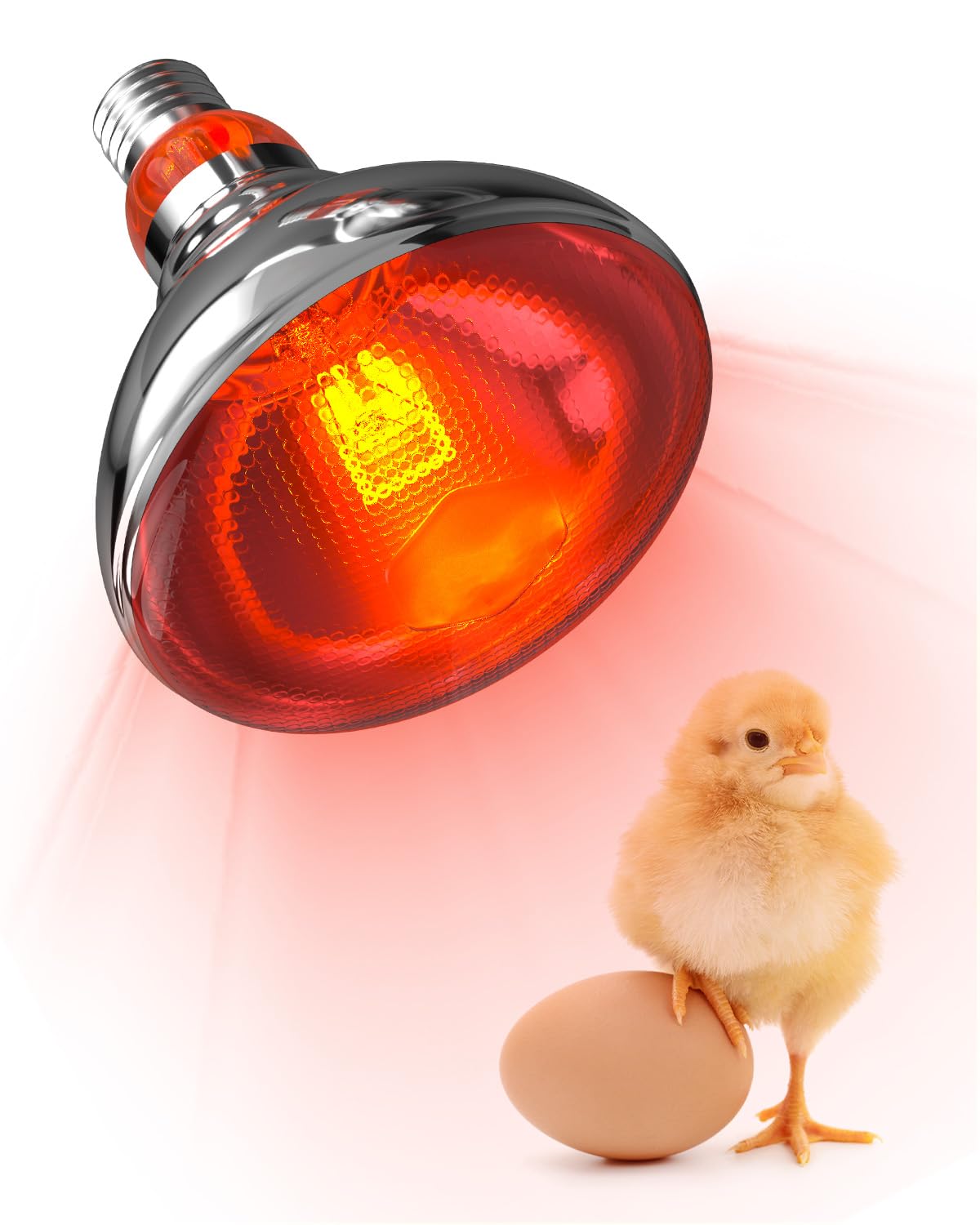 Tobebright Heat Lamp Bulbs for Chickens Coop Brooder,150 Watt Reptile Heat Lamp 