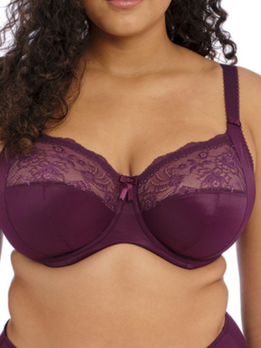 Elomi Morgan Women's Underwire Banded Bra with Stretch Lace Bra (Pack of 1)