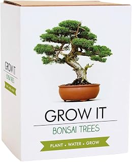 Gift Republic Grow Your Own Bonsai Kit - Indoor Bonsai Tree Plant Mini Tree Growing Set- Gift Idea
