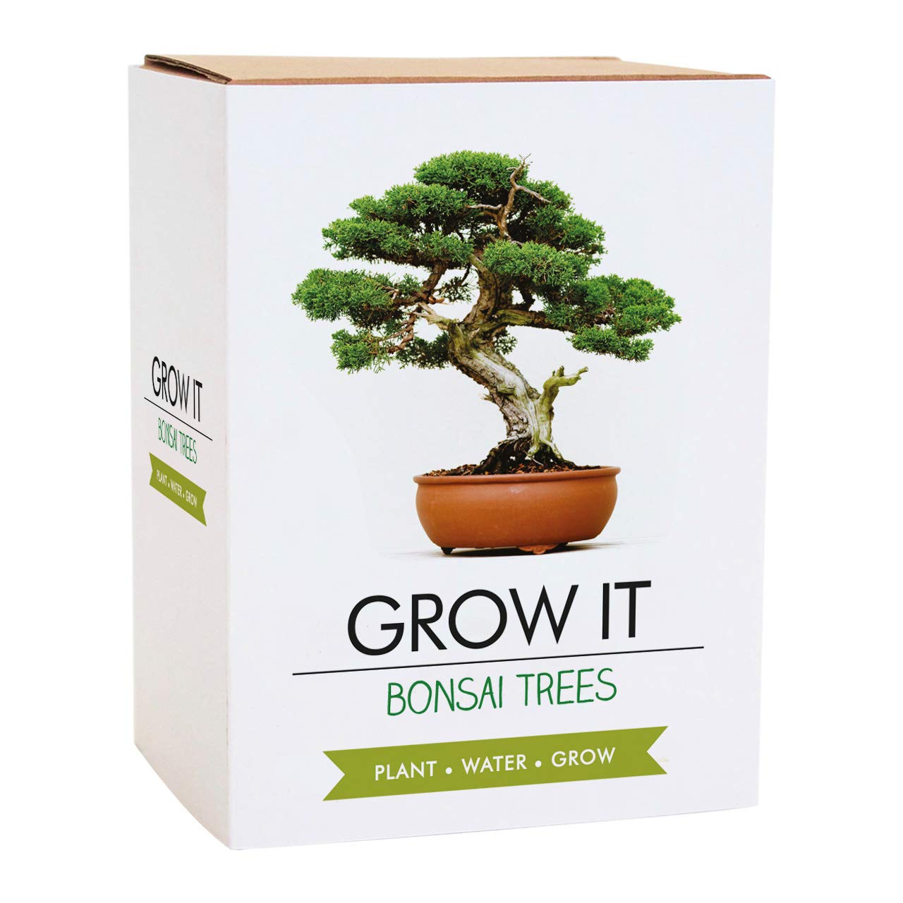 Gift Republic Grow Your Own Bonsai Kit - Indoor Bonsai Tree Plant Mini Tree Grow
