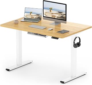 FLEXISPOT E1 Plus Electric Standing Desk Height Adjustable for Home Office | 80kg Load, 4 Memory Smart Panel, 2 Hooks, Quiet Motor, Easy Assembly (120 * 60cm, White Frame+Maple Desktop)