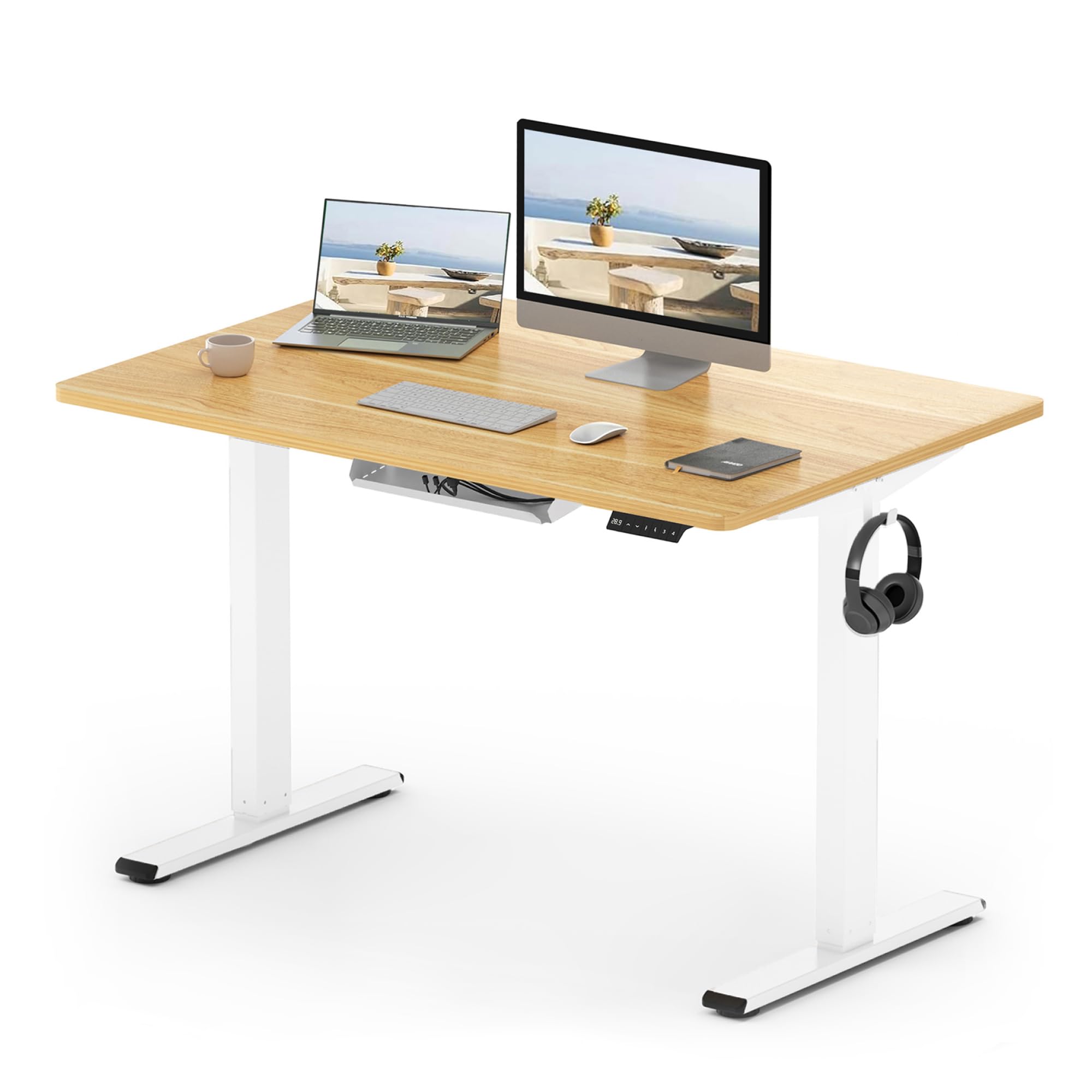 FLEXISPOT E1 Plus Electric Standing Desk Height Adjustable for Home Office | 80k