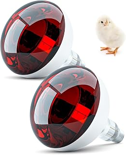 250 Watt Heat Lamp Red Infrared Bulbs Glass Heat Lamp Bulb for Food Service, Brooder Heat Lamp for Chicks, Reptile, Pet, Bathroom, Light Therapy Use E26 Base, Flood Light Heat Lamp Bulb - 2Pack