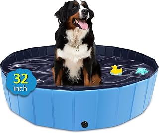 CACSPS Foldable Dog Pool, 32" x 8" Kiddie Pool with Hard Plastic, Non-Slip Dog Bath Tub for Outdoor Backyard, Collapsible Dog Swimming Pool for Kids Dogs Pets (Blue)