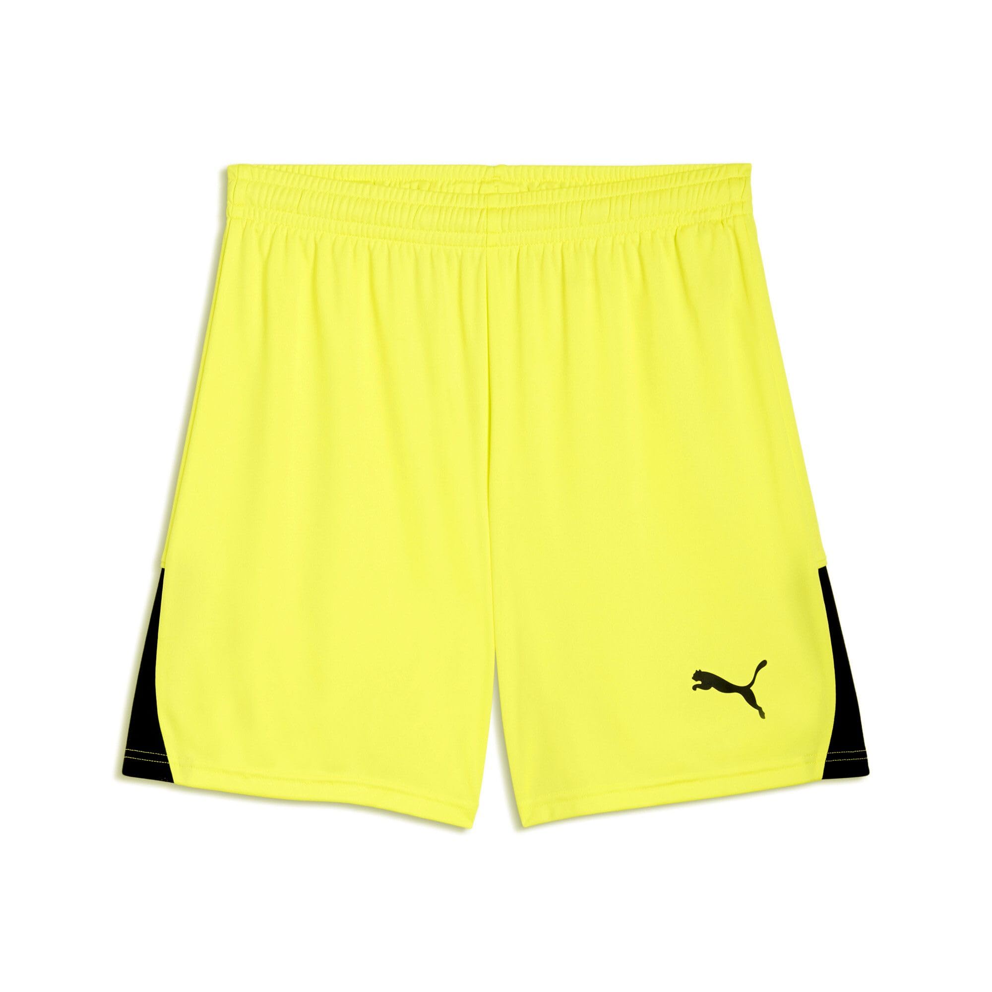 Puma Men's Shorts
