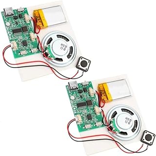 Xgsbvgdhw Programmable Sound Recorder Module USB-C MP3 Player for DIY Gifts | USB-C programmable sound recorder supports direct MP3 transfer, making it easy to load tunes and messages on demand.