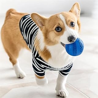 1 pc Interactive Elastic Dog Ball Toy - Soft Rubber Puppy Chew Toy Small Dog, Cleaning Teeth, Food Dispenser, Durable Pet Staff Accessory for Fun Play, 1.97 inch