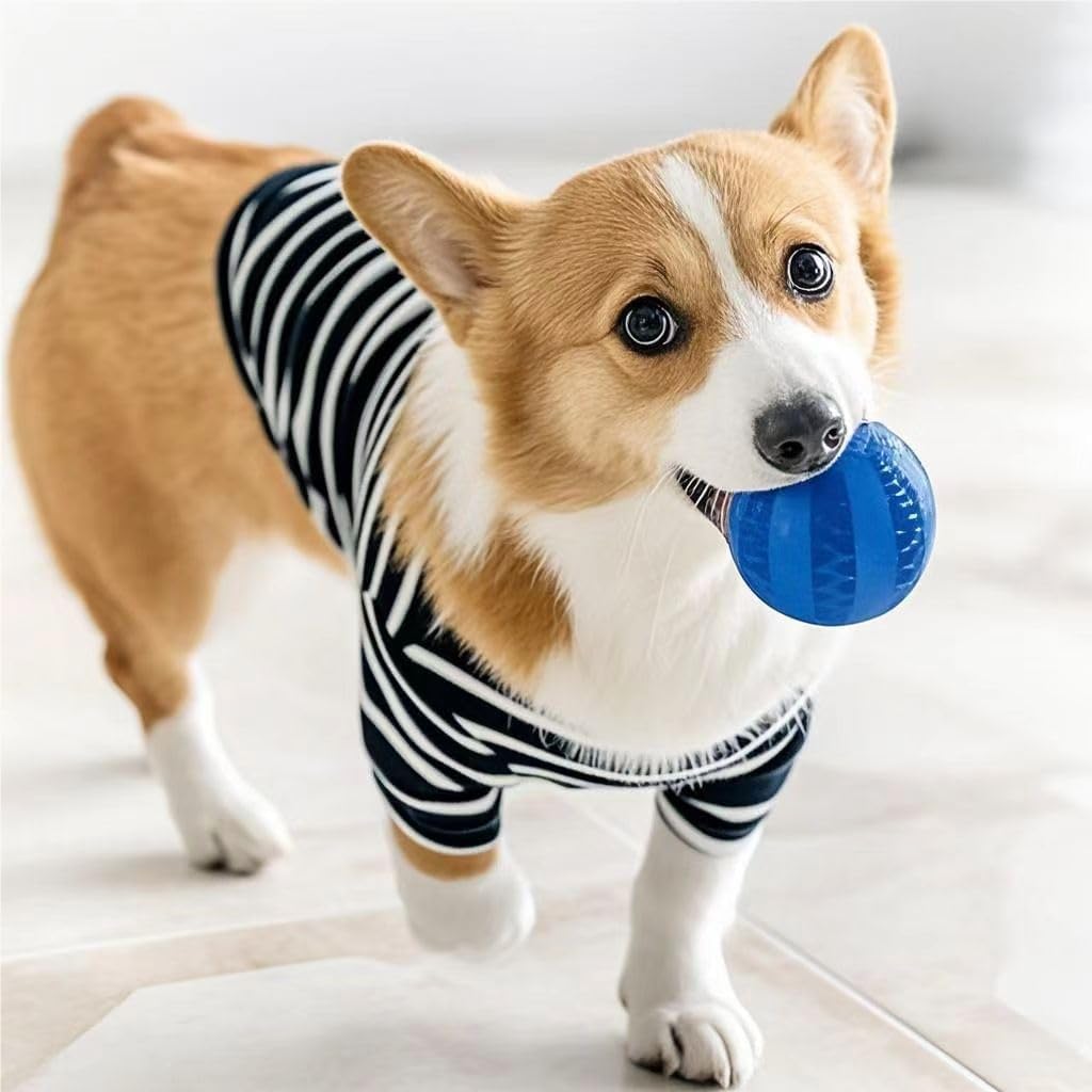 1 pc Interactive Elastic Dog Ball Toy - Soft Rubber Puppy Chew Toy Small Dog, Cl