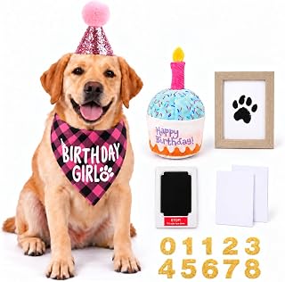 Dog Birthday Party Set, Dog Birthday Hat, Bandana, Dog Toy Paw Print Frame | Hat with age number stickers, matching bandana, dog toy and inkless paw print frame to create a lasting birthday keepsake