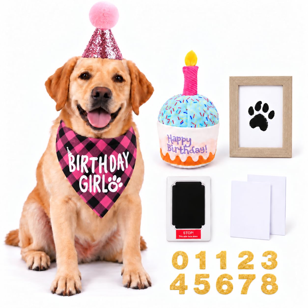 Dog Birthday Party Set, Dog Birthday Hat, Bandana, Dog Toy Paw Print Frame | Hat