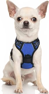 rabbitgoo Small Dog Harness, Dog Harness Anti-Pull Car with Reflective