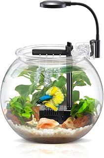 Nubios Betta Bowl Starter Kit with Pump Filter and LED Lighting High Transparency and Easy to Clean, Also Suitable for Other Small Fish. USB Plug, Available in 2 Sizes, Decor NOT Included (1 Gallon)