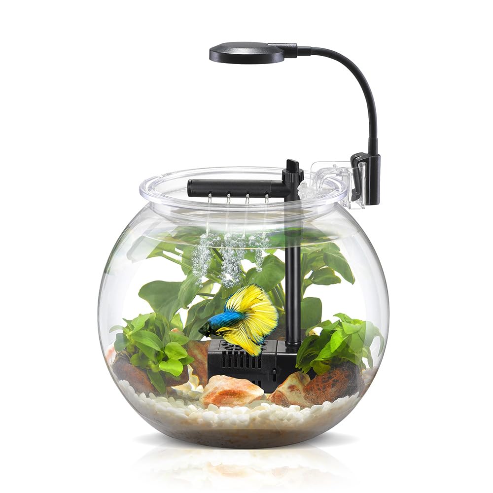 Nubios Betta Bowl Starter Kit with Pump Filter and LED Lighting High Transparenc