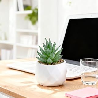 Artificial Succulent Plant in Diamond Shape Pot, Artificial Succulent for Home and Office Decor, Realistic Succulent Plant (Green)
