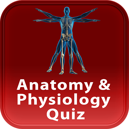 Anatomy & Physiology Quiz