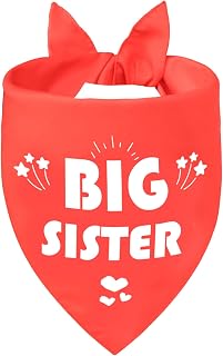 Big Sister Dog Bandana for Medium Dogs, Reversible Red Scarf