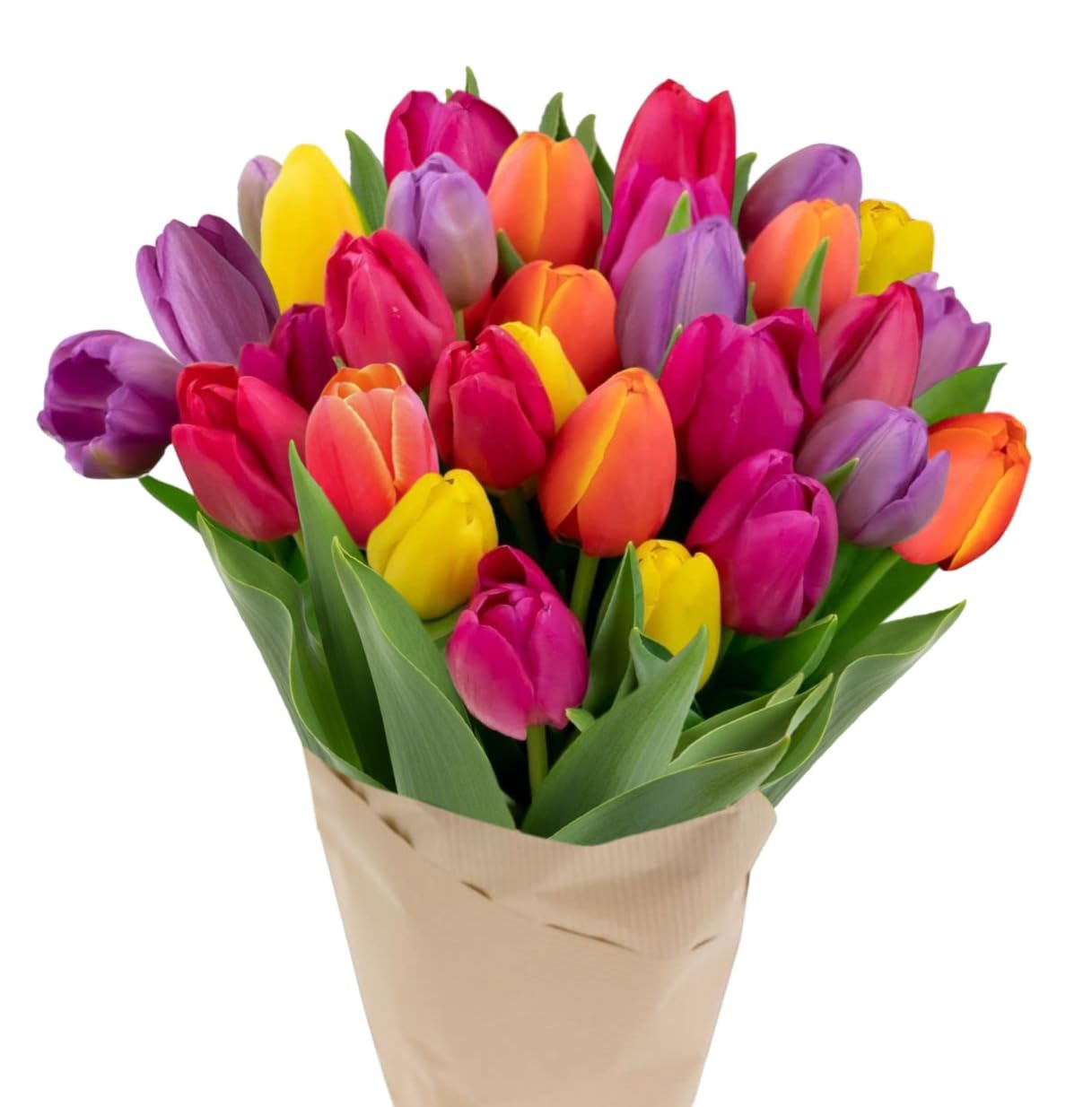 Stargazer Barn 30 Stem Rainbow Tulips Bouquet - Without Vase | Fresh Cut Flower 