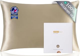 ZIMASILK 100% Pure Mulberry Silk Pillow Cases for Hair and Skin, Queen | Soft, Hypoallergenic & Smooth, Both Sides Grade 6A Silk, Hidden Zipper, Gift for Women Men, 1pc (Queen 20"x30", Taupe)