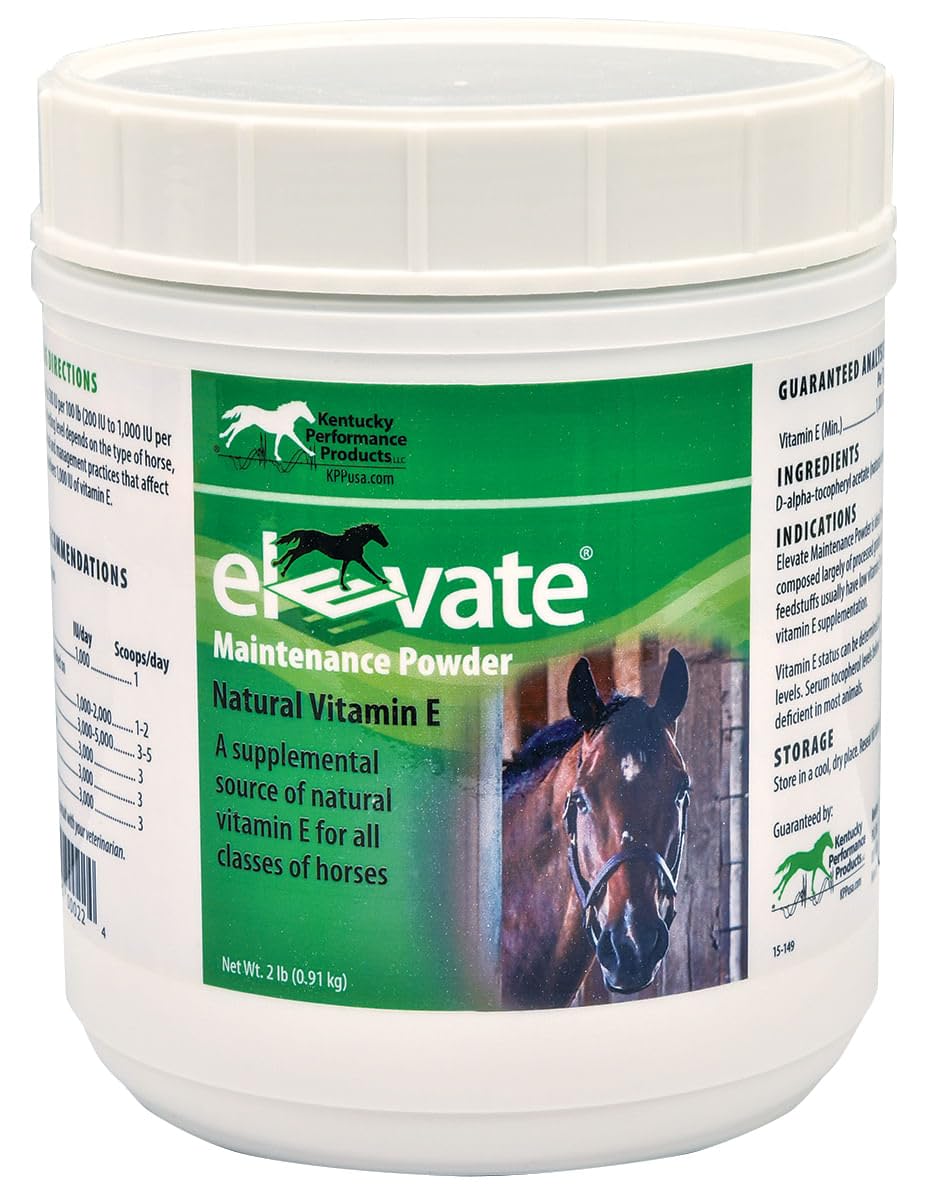 KENTUCKY PERFORMANCE PROD 044097 Elevate Maintenance Powder Supplement for Horse
