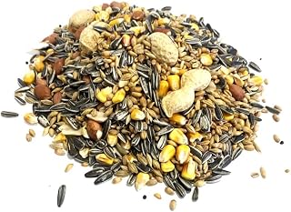 Maltbys' Stores 3 Litre (approx. 1.8kg) Squirrel & Chipmunk Food [3LW] | Complete Mixed Food for Squirrels & Small Rodents