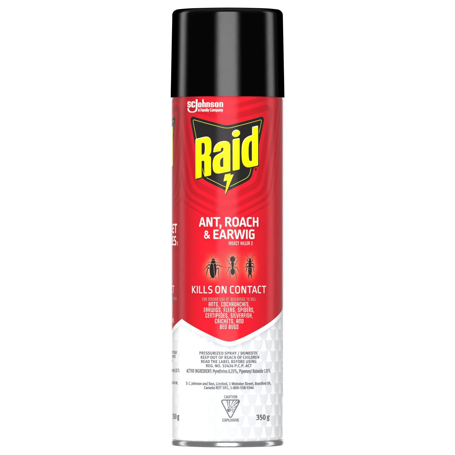 Raid Ant & Roach Insect Killer Spray, Kills on Contact, Indoor, 350g | Kills Ant