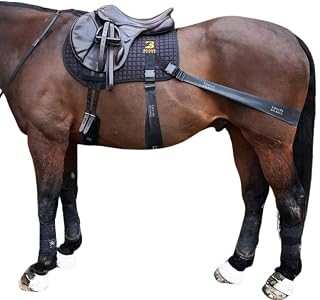 Core Conditioning Saddle Pad & Band System