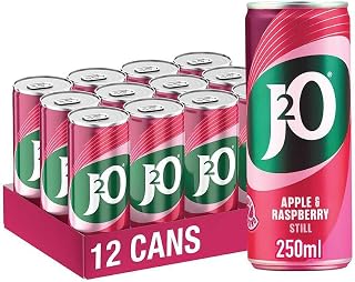 J2O Fruit Juice, Apple and Raspberry, 250ml Cans (Pack of 12)