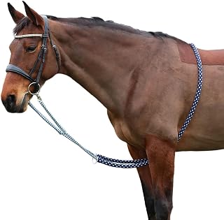Hy Horse Lunging Aid (One Size) (Navy/Gray)
