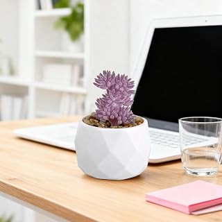Artificial Succulent Potted Diamond Shape Fake Succulent Plant Home Office Lifelike Succulent Plant (Purple)