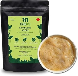 Kombucha Scoby with Starter Fluid, Ingredients Organic, Kombucha Scoby Live Culture by Natubrü Brew 1 Gallon Kombucha | Made in Canada | 1 Pack