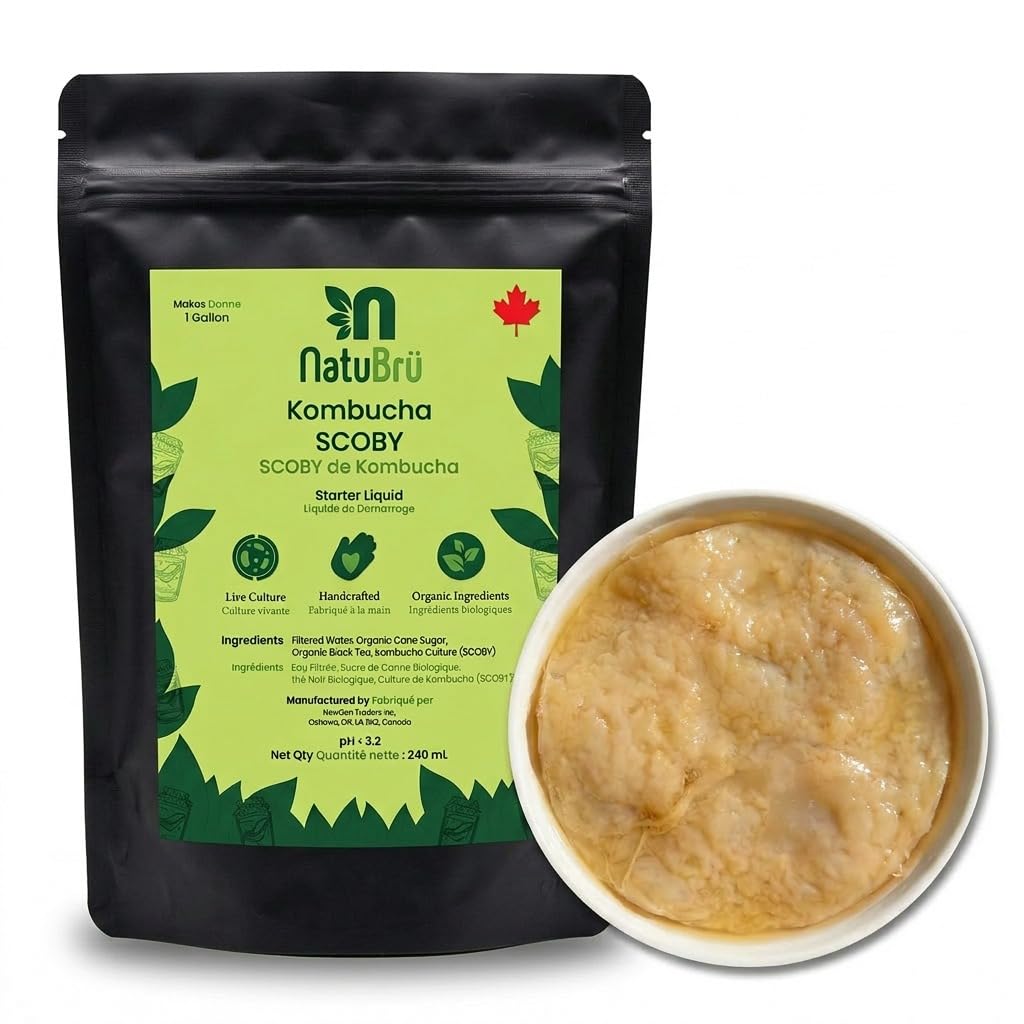 Kombucha Scoby with Starter Fluid, Ingredients Organic, Kombucha Scoby Live Cult