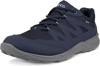 ECCO Terracruise Lt GTX Men's Hiking/Walking Shoes