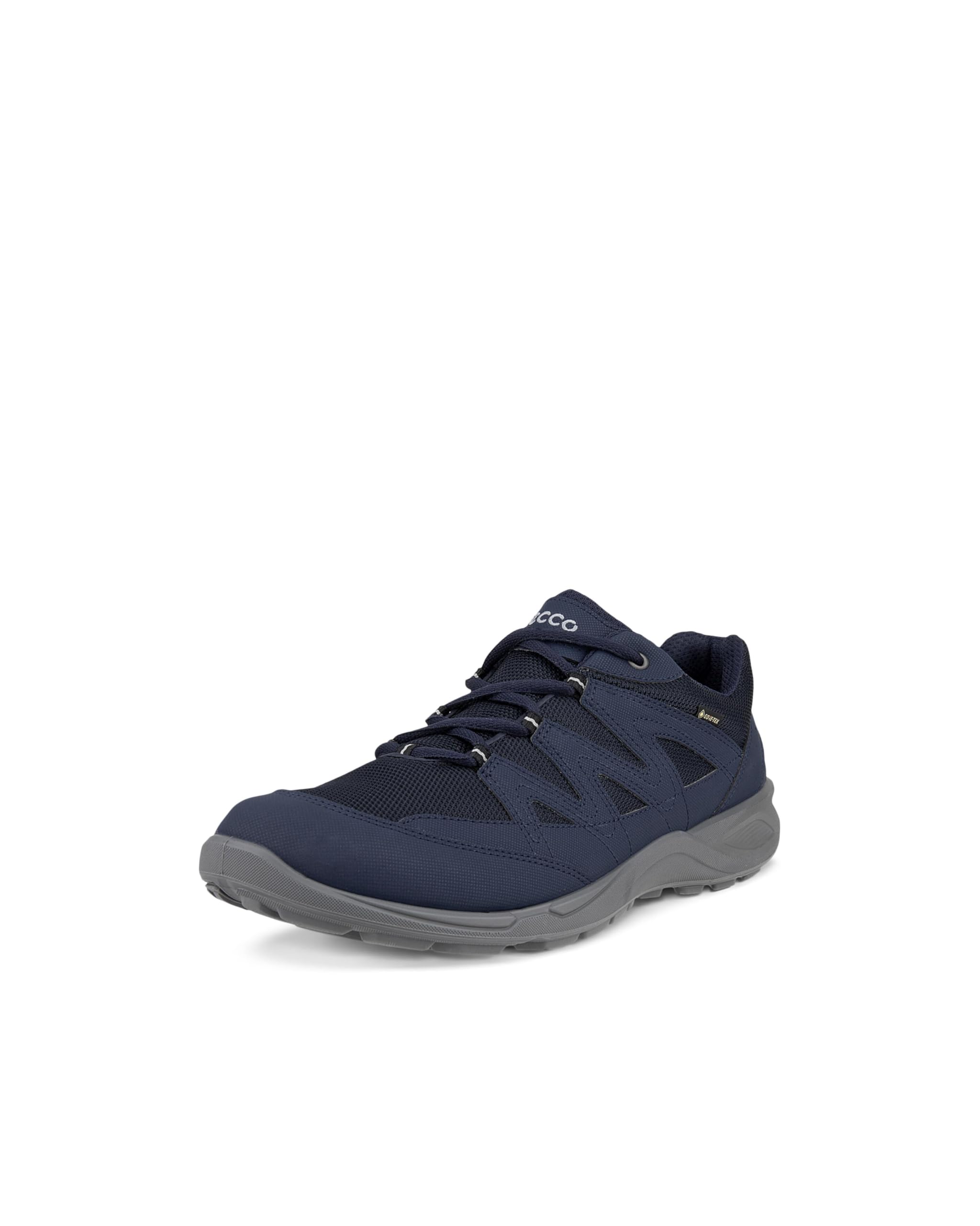 ECCO Terracruise Lt GTX Men's Hiking/Walking Shoes