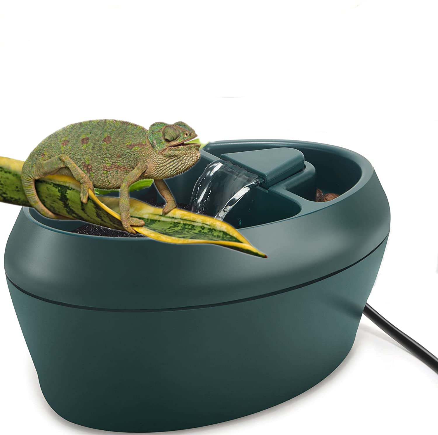 MIDOGAT 2 in 1 Reptile Water Dispenser with Treats Trough, Chameleon Water Fount