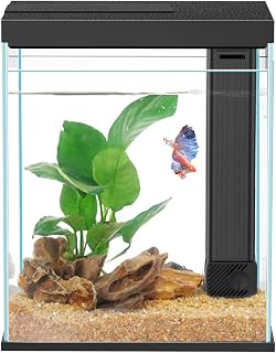 Pronetcus Betta Fish Tank, 2 Gallon Glass Aquarium Starter Kit, Small Fish Tank with Filter and Light, Suitable for Betta Goldfish and Shrimp.(Black)