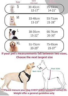 Large Dog Harness with 2 Adjustable Buckles and Padding, Reflective Design for Easy Grip, Suitable for Dogs and Cats, Purple, L