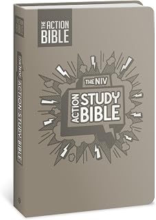 The NIV Action Study Bible, Leathersoft, Gray, Full Color (Action Bible Series)