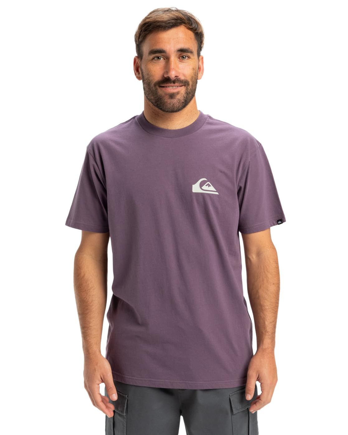 Quiksilver Ev Mini Logo SS EV Mini Logo SS Men's (Pack of 1)